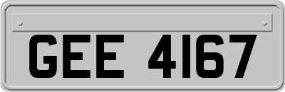 GEE4167