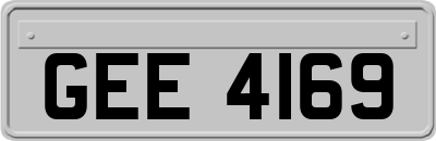 GEE4169