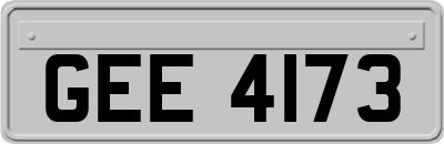 GEE4173