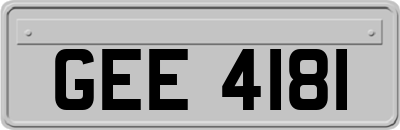 GEE4181