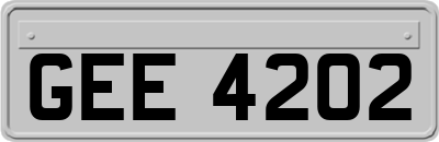 GEE4202