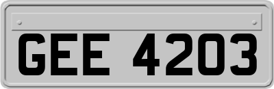 GEE4203