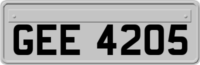 GEE4205