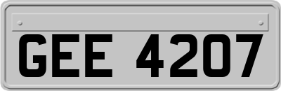 GEE4207