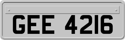 GEE4216