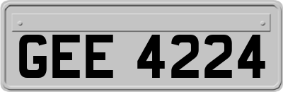 GEE4224