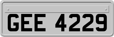 GEE4229