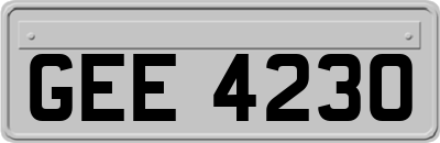 GEE4230