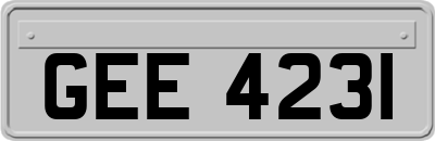 GEE4231