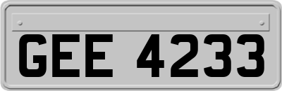 GEE4233