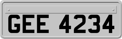 GEE4234
