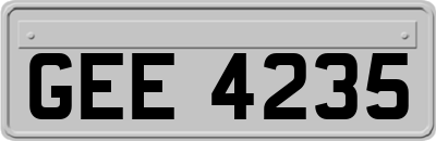 GEE4235