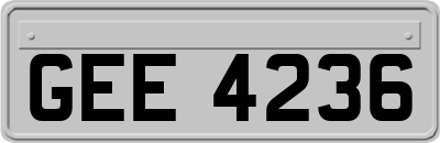 GEE4236
