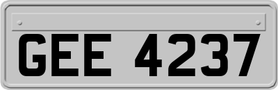 GEE4237