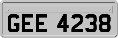 GEE4238