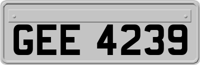 GEE4239