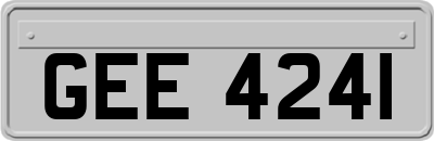 GEE4241