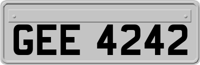 GEE4242