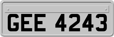 GEE4243