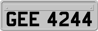 GEE4244