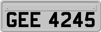 GEE4245