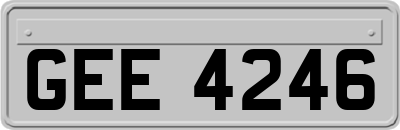 GEE4246