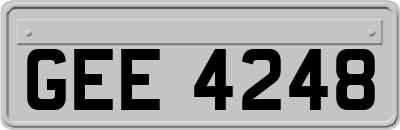 GEE4248