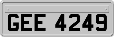 GEE4249