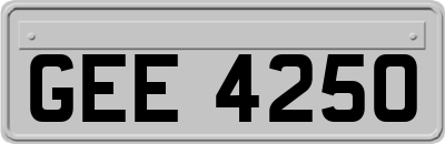 GEE4250