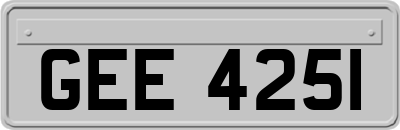 GEE4251
