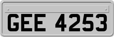GEE4253
