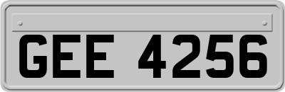 GEE4256