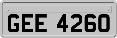 GEE4260