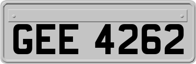GEE4262