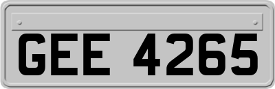GEE4265