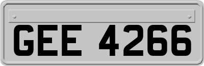 GEE4266
