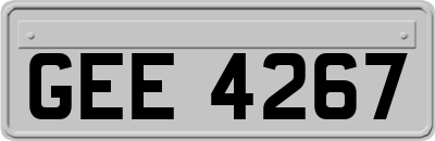 GEE4267
