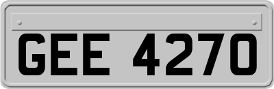 GEE4270