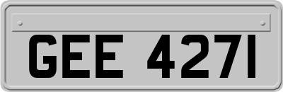 GEE4271