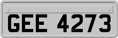 GEE4273