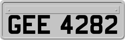 GEE4282