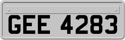 GEE4283