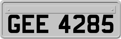 GEE4285