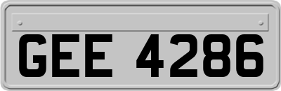 GEE4286