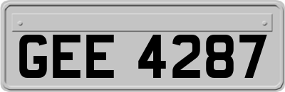 GEE4287