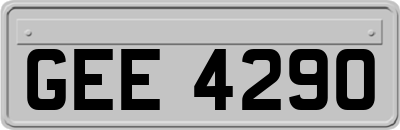 GEE4290