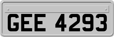 GEE4293