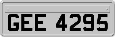 GEE4295