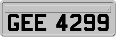 GEE4299