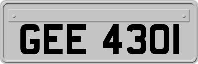 GEE4301